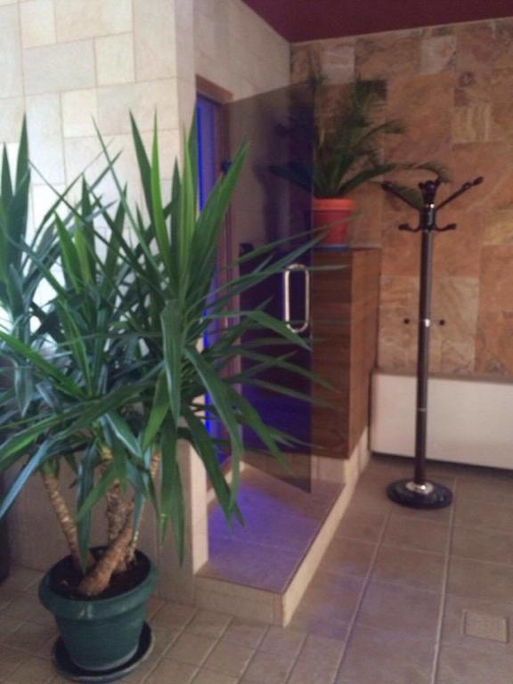 Hotel Cabana Spa & Relax Bar 플로브디프 외부 사진